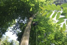 53_gc_stammtisch_25_20150506